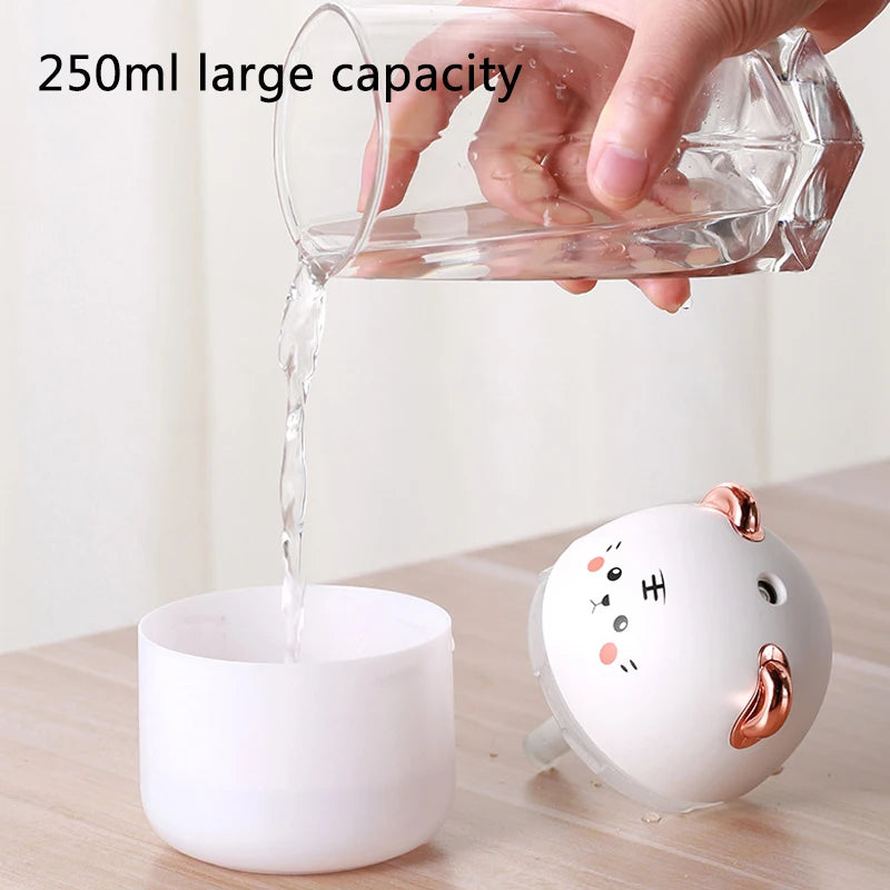 Cute Mini Humidifier